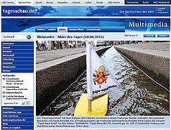 Bild des Tages