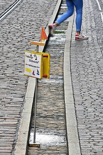 Bächle ohne Wasser